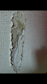 「ペットのあけた壁穴の修理」についての画像