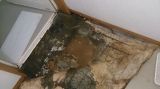 「洗面所の床下修理について」についての画像