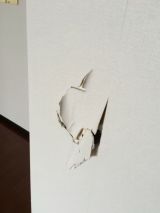 「壁穴（10×15㎝）と破れた壁紙（10×20㎝）の修繕」についての画像