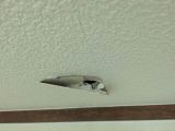 「2階の洋室の天井に空いた小さな穴の修理  3cm」についての画像