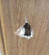 「リビングのドアの穴修理をお願いします」についての画像