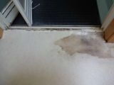 「脱衣所（90㎝×50㎝）の床腐食の修理」についての画像