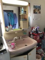 「洗面台のシャワーホース交換か洗面台本体の交換のどちらか」についての画像