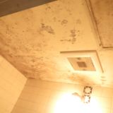 「浴室の天井の塗装（164㎝×116㎝）と床面のタイルの張替え（96㎝×116㎝）」についての画像