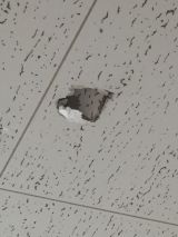 「天井の穴の補修をお願いします」についての画像