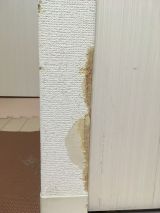 「犬がかじった壁修理」についての画像