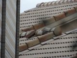 「2階屋根の瓦ズレ修理（屋根の棟の瓦数枚ズレ）」についての画像