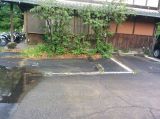 「庭木と庭石を撤去して縦に二台分の駐車場の増設」についての画像
