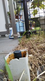 「マンション庭に立水栓の修理」についての画像