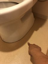 「トイレ床水漏れ（トイレと床の隙間から水）」についての画像