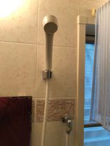 「浴室の修理（シャワーのホースがひび割れしている、または水漏れ？）」についての画像