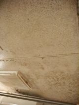 「浴室天井の塗装（160㎝×160㎝）」についての画像